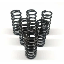 GRAVES MOTORSPORTS Graves Works Clutch Spring Kit Yamaha R1 2007-2014